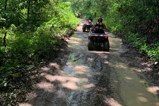 ATV Jungle Safari Tour from Montego Bay - Is $125 a fair price?