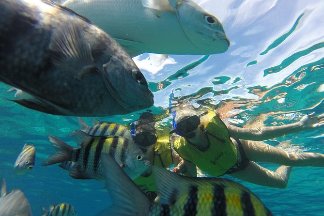 ATV Mud Kicking and Snorkeling by Boat in Cozumel - Snorkeling from Tortugas Beach Club