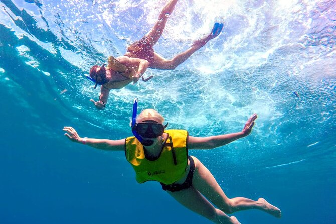 ATV Mud Kicking and Snorkeling by Boat in Cozumel - Who will get the best value