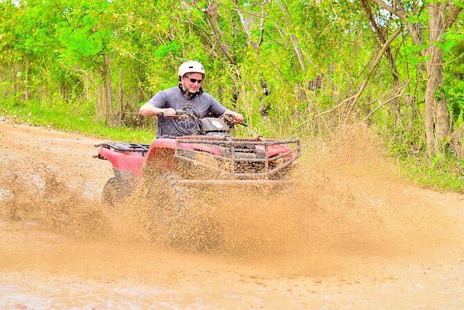 ATV OR BUGGY Ride Into the jungle with cave coffee & chocolate - Coffee, chocolate, rum, and the organic farm