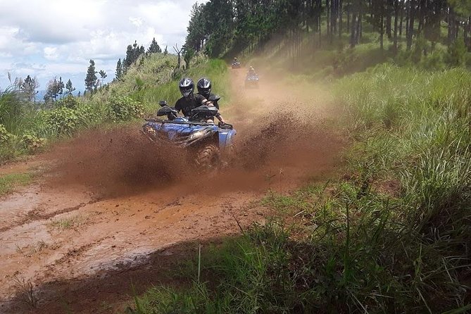 ATV Quad Bike Adventure Tour (Departs Nadi) - How much value do you get for $168.37?