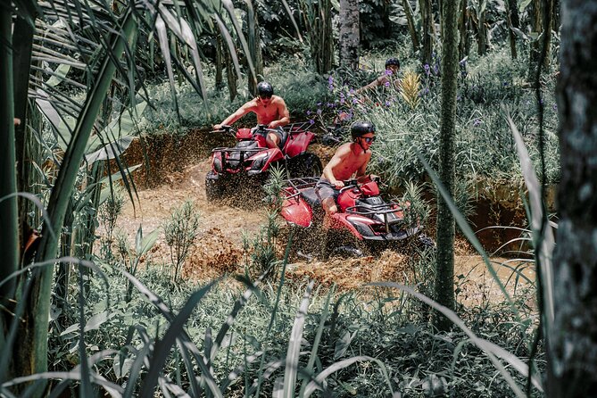ATV Quad Bike Bali with Waterfall Gorilla Cave and Lunch - Single or tandem quad bikes