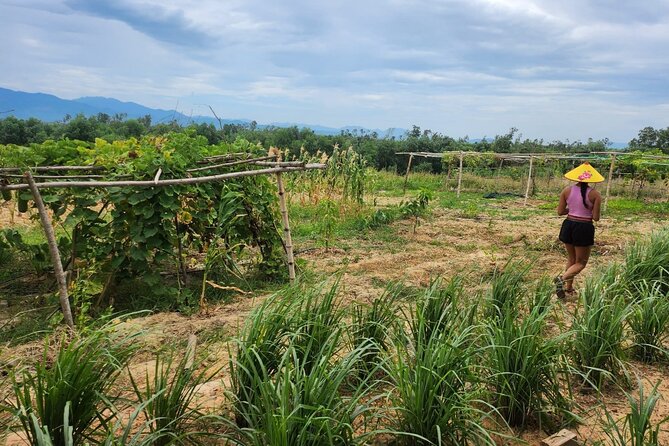 ATV Quad Bike Hoi An Adventure & BBQ Feast - What the ATV ride actually feels like