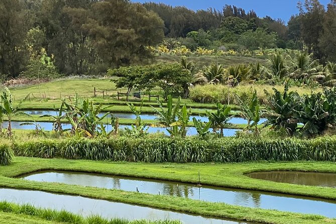 ATV Ranch ride Big Island Hawaii - How demanding is the ATV ride?