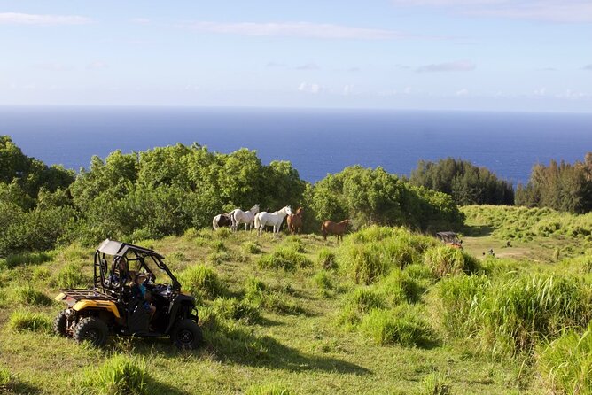 ATV Ranch ride Big Island Hawaii - Is the $169 price good value?