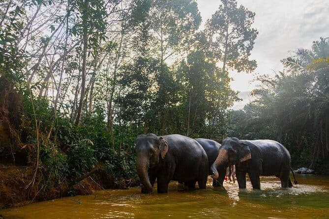 ATV Ride Through Mountain and Waterfall Trails in Khao Lak - The waterfall gives the two-hour trip a clear finish