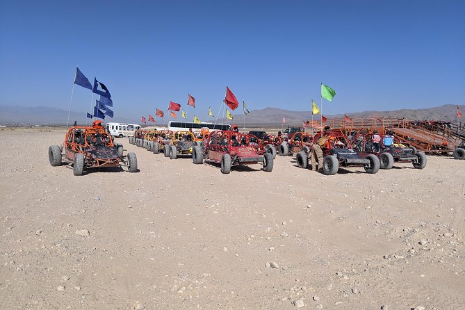 ATV Tour and Dune Buggy Chase Dakar Combo Adventure from Las Vegas - Who should book this combo?