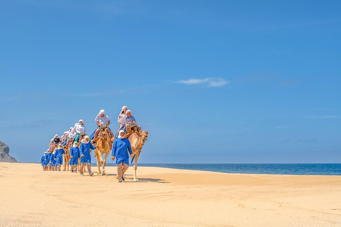 ATV Tour, Camel Ride, Tequila Tasting and Mexican Buffet Lunch - Who will enjoy this Cabo excursion most