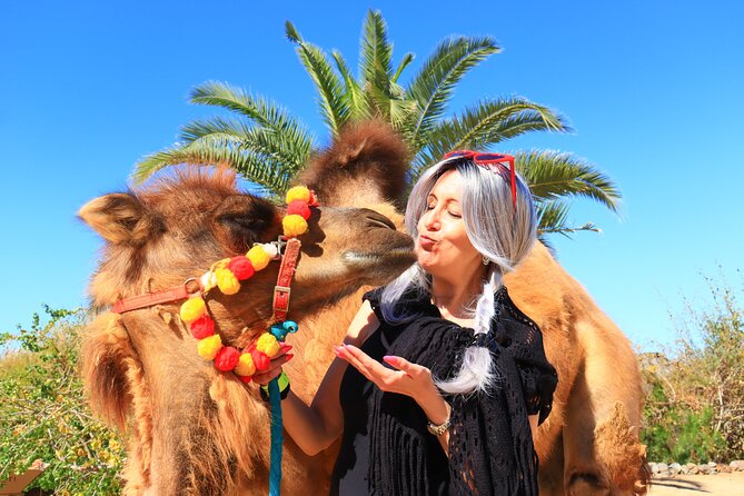 ATV Tour, Camel Ride, Tequila Tasting and Mexican Buffet Lunch - Useful planning tips for a smoother day