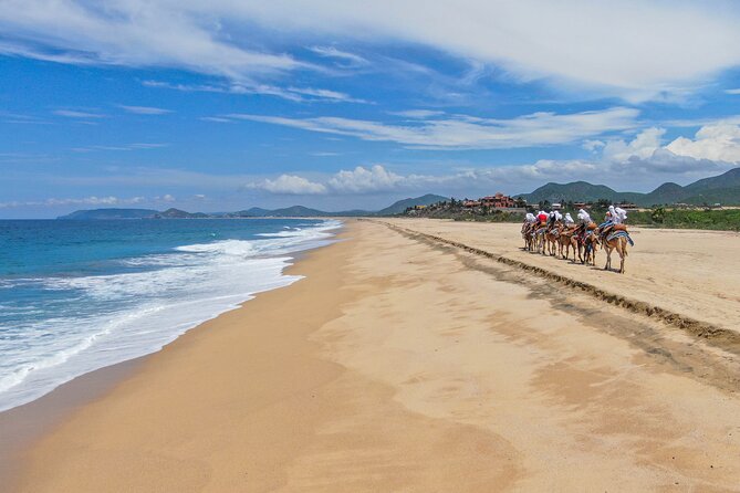 ATV Tour, Camel Ride, Tequila Tasting and Mexican Buffet Lunch - Should you book the ATV and camel combination?