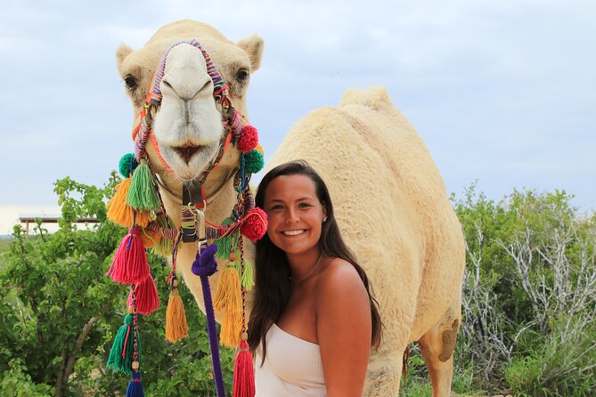 ATV Tour, Camel Ride, Tequila Tasting and Mexican Buffet Lunch - The beach camel ride at Tierra Sagrada