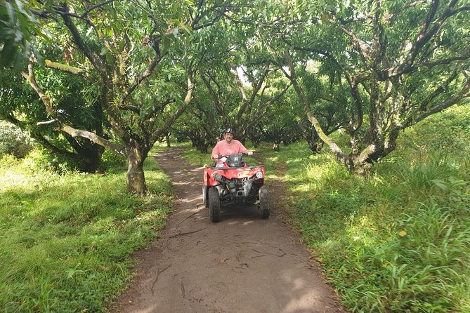 ATV Tour of St Kitts - Booking value and cancellation terms