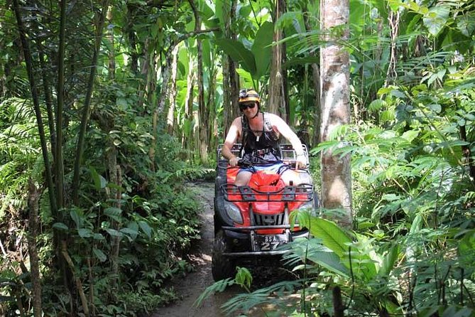 ATV Tour with Monkey Forest Experience in Bali - Sangeh Monkey Forest and its long-tailed residents