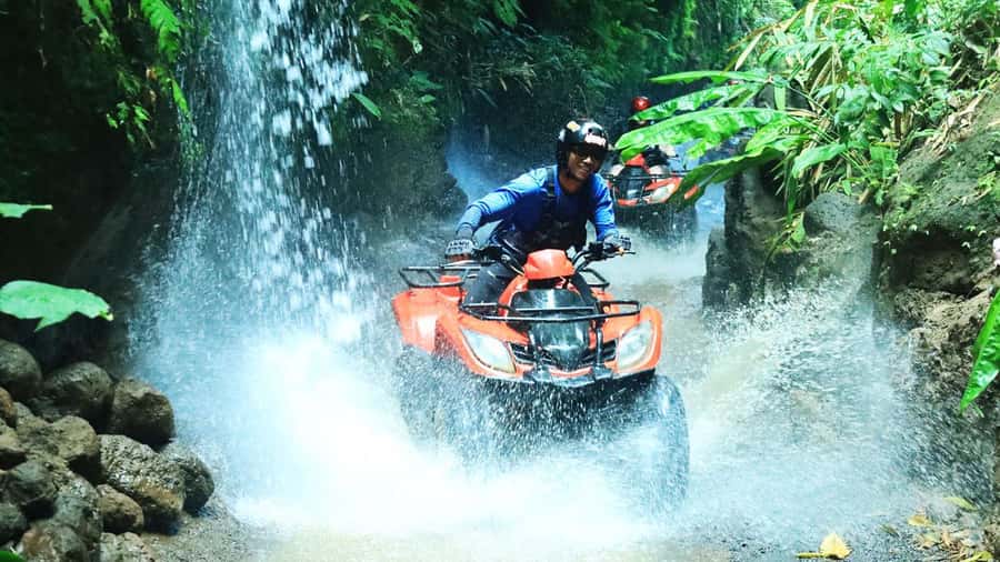 Bali: ATV Quad Bike, Monkey Forest, Jungle Swing with Lunch - Key Points