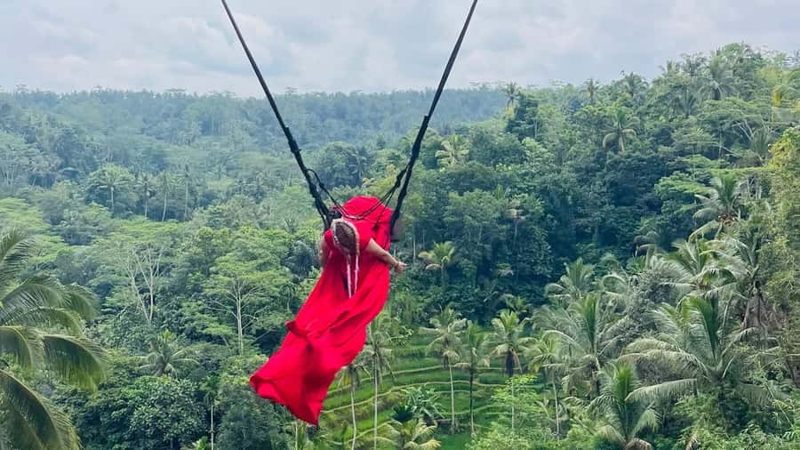 Bali: ATV Quad Bike, Monkey Forest, Jungle Swing with Lunch - Tegallalang Rice Fields Beyond the Photo Stop