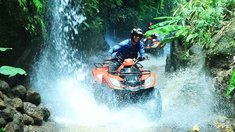 Bali: ATV Quad Bike, Monkey Forest, Jungle Swing with Lunch - Is This Bali Experience Worth Booking?