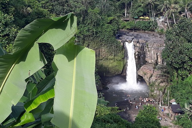 Bali ATV Rafting And Ubud Waterfall Private Tour - Should you book the Bali ATV and rafting day?