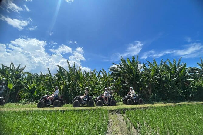 Bali ATV Ride On the Beach, Rice Field and Village Tour 2 Hour - Rice fields, village roads, and sea views
