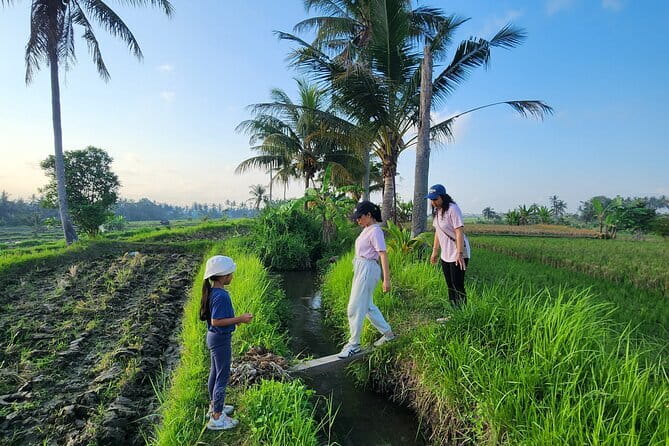 Bali ATV Ride On the Beach, Rice Field and Village Tour 2 Hour - What the $44.50 price really covers