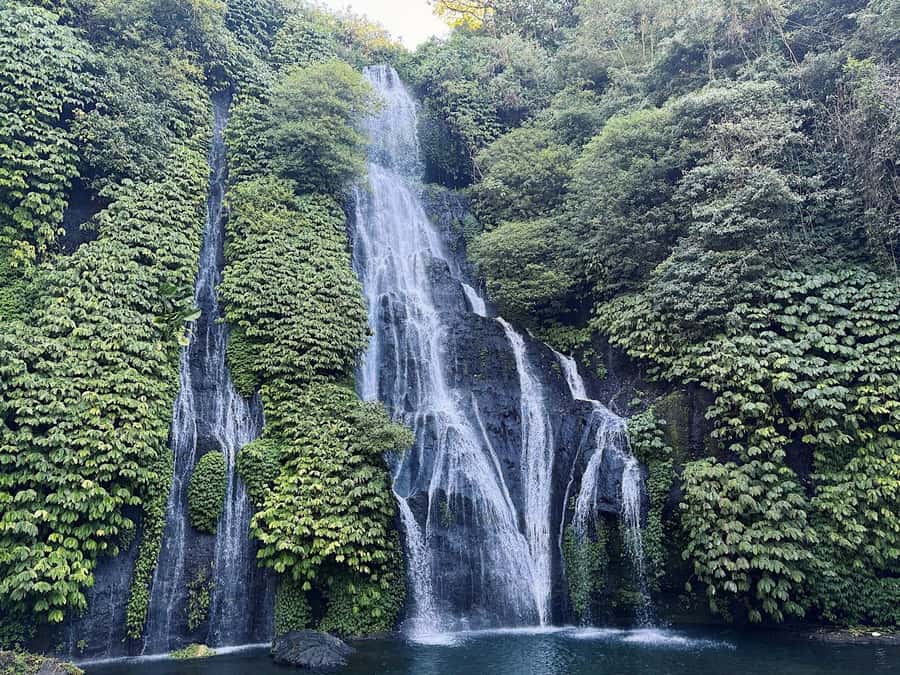 Bali: Dolphin Swimming Tour with ATV Quad Bike & Waterfall - The driver can shape the entire day