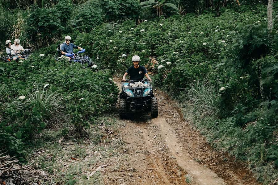 Bali: Dolphin Swimming Tour with ATV Quad Bike & Waterfall - Food, gear, and what to pack