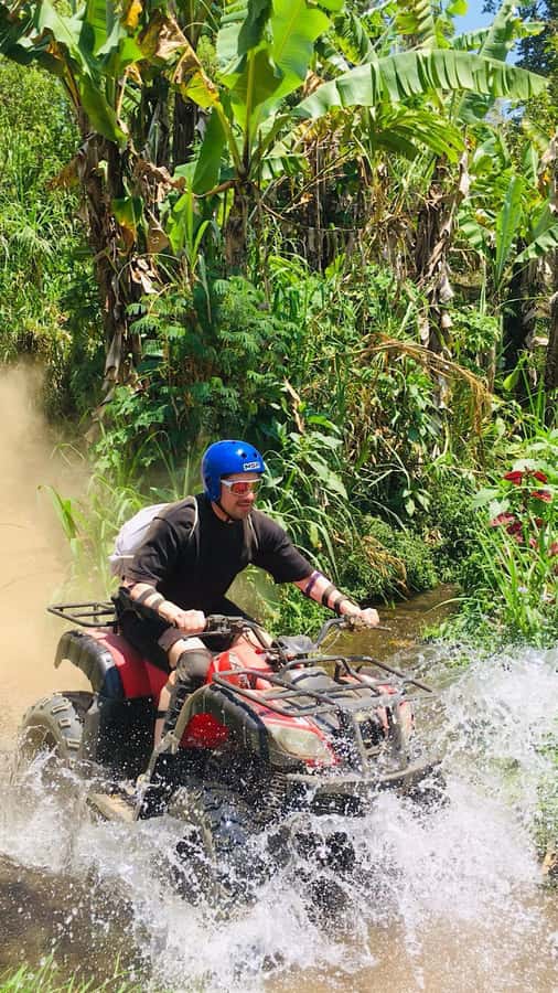Bali: Dolphin Swimming Tour with ATV Quad Bike & Waterfall - Timing, safety, and the compromises