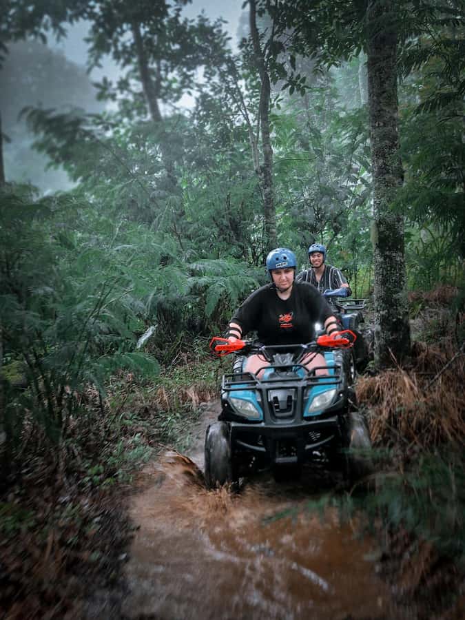 Bali: Dolphin Swimming Tour with ATV Quad Bike & Waterfall - Who should book this $81 North Bali day?