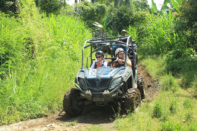 Bali Quad and Buggy Discovery Tour, Including Round-Trip Transfer - Who Will Enjoy This Most