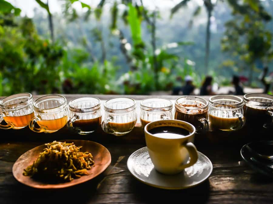 Bali: Ubud Adventure, ATV, Monkey Forest& Waterfall Tour - The driver is the main guide for the day