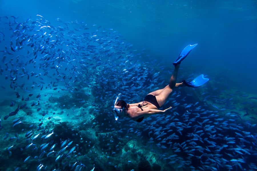 Bali: Ubud ATV and Blue Lagoon Snorkeling Tour with Lunch - A sea-and-country day that keeps changing pace