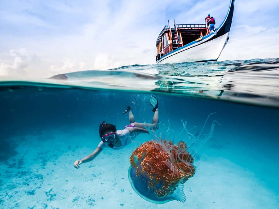 Bali: Ubud ATV and Blue Lagoon Snorkeling Tour with Lunch - Lunch, showers, and a useful reset