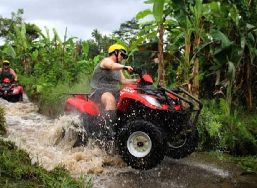 Bali: Ubud ATV and Blue Lagoon Snorkeling Tour with Lunch - Who should book this tour?
