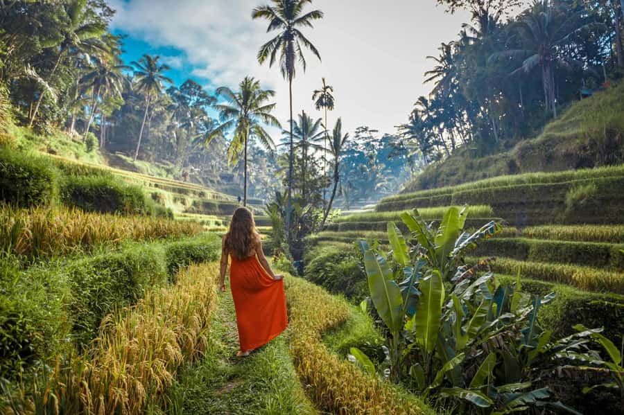 Bali: Ubud ATV Quad Bike, Jungle Swing & Rice Terrace Tour - How much value do you get for $24?