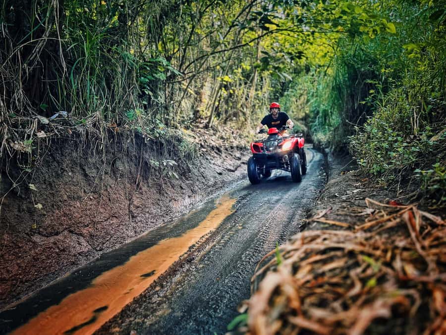 Bali: Ubud Gorilla Cave Track ATV & Waterfall Tour with Meal - Transport, traffic, and the shape of the day