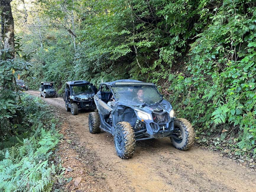 Batumi: Mtirala ATV, Buggy Maverick & Horse Riding Adventure - Mtirala National Park is the reason to go