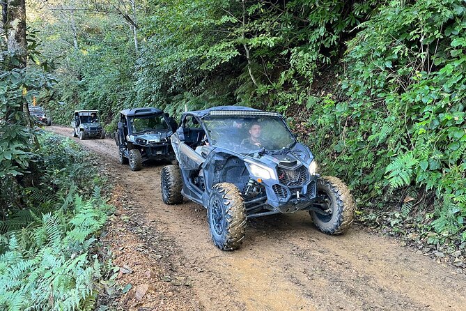 Batumi: Mtirala ATV, Buggy Maverick RZR & Horse Riding Adventure - Why Mtirala makes a good escape from Batumi