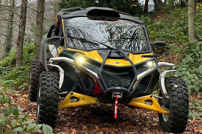 Batumi: Mtirala ATV, Buggy Maverick RZR & Horse Riding Adventure - Who will enjoy this outing most