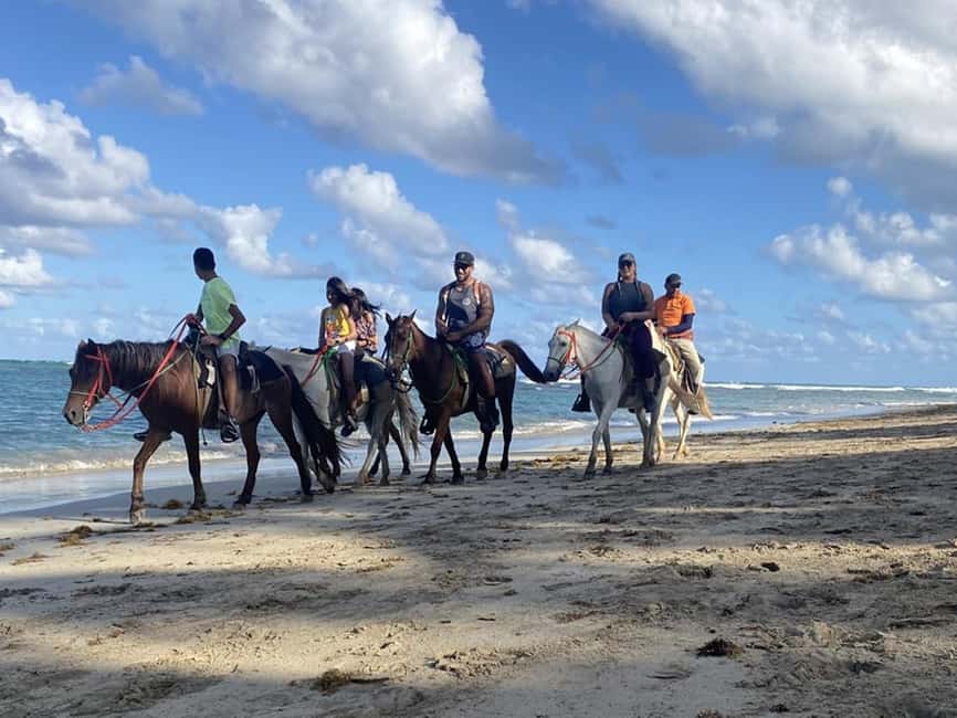 Bayahibe: Buggy and Horseback Riding Tour - Why this Bayahibe tour feels different