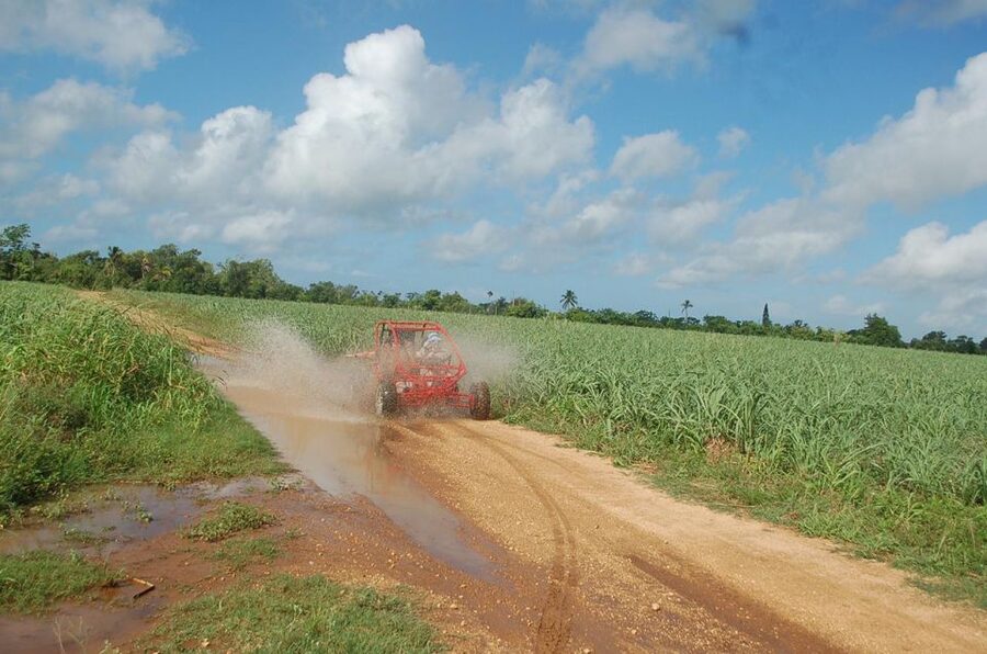 Bayahibe: Buggy tour amazing half-day - A Bayahibe Buggy Ride With More Than Motor and Mud
