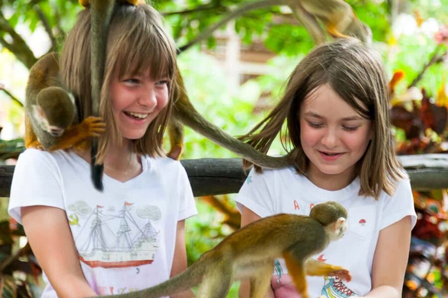 Bayahibe/La Romana: 4x4 Buggy and Monkeyland Tour - Timing, transfers, and the value of the $179 price