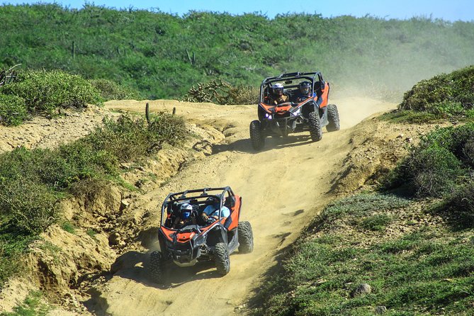 Beach and Desert Premium X3 UTV Tour in Cabo - Riding across Baja’s rougher side