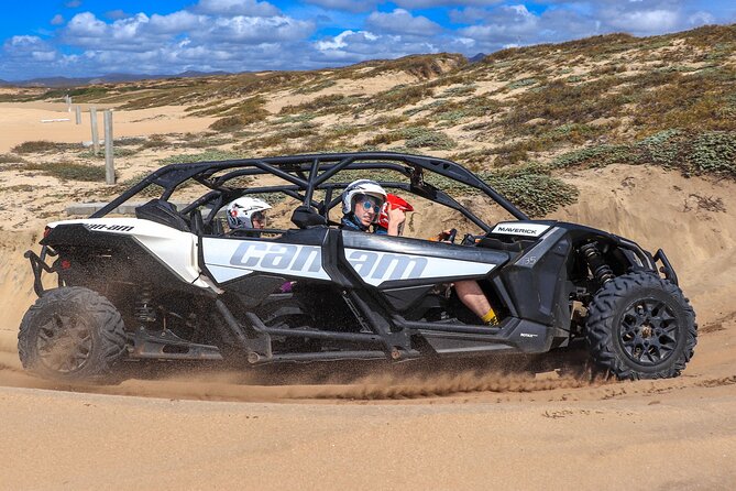 Beach UTV Adventure with Free Camel and Horseback Ride - Three Baja activities packed into three hours