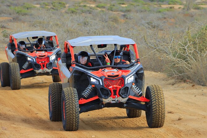 Beach UTV and Camel Ride Combo in Cabo - Booking advice and cancellation terms