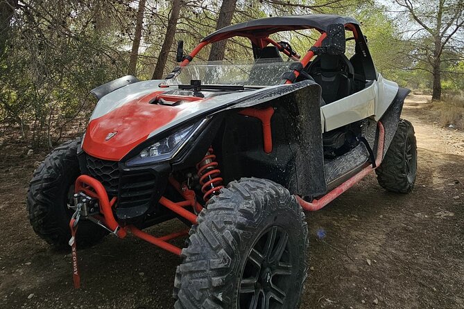 Benidorm Buggy Tour Off Road - Who should book this outing?