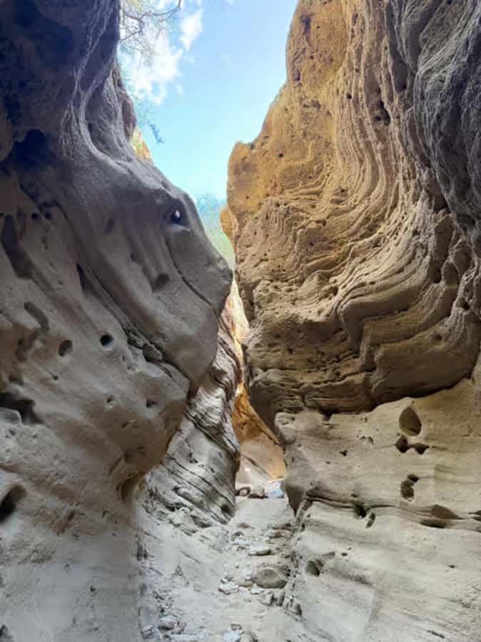 Best Agadir Desert Adventure: Quad Camel Sandboarding & BBQ - Key points at a glance