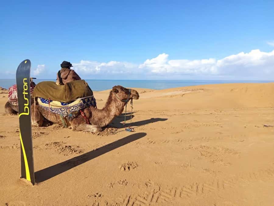 Best Agadir Desert Adventure: Quad Camel Sandboarding & BBQ - Who should book this Agadir adventure?