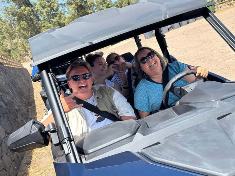 BEST FAMILY & FRIENDS FUN BUGGY TOUR - Key points at a glance