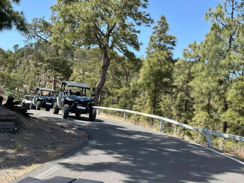 BEST FAMILY & FRIENDS FUN BUGGY TOUR - Guide style and the practical side of safety