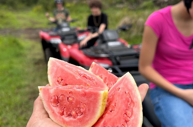 Big Island ATV Tour at Ohana Ranch - How much riding will you actually do?