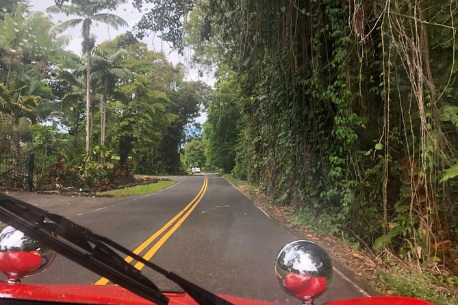 Big Island Buggy Rental on the Big Island, Hawaii - Building a four-hour Kona outing